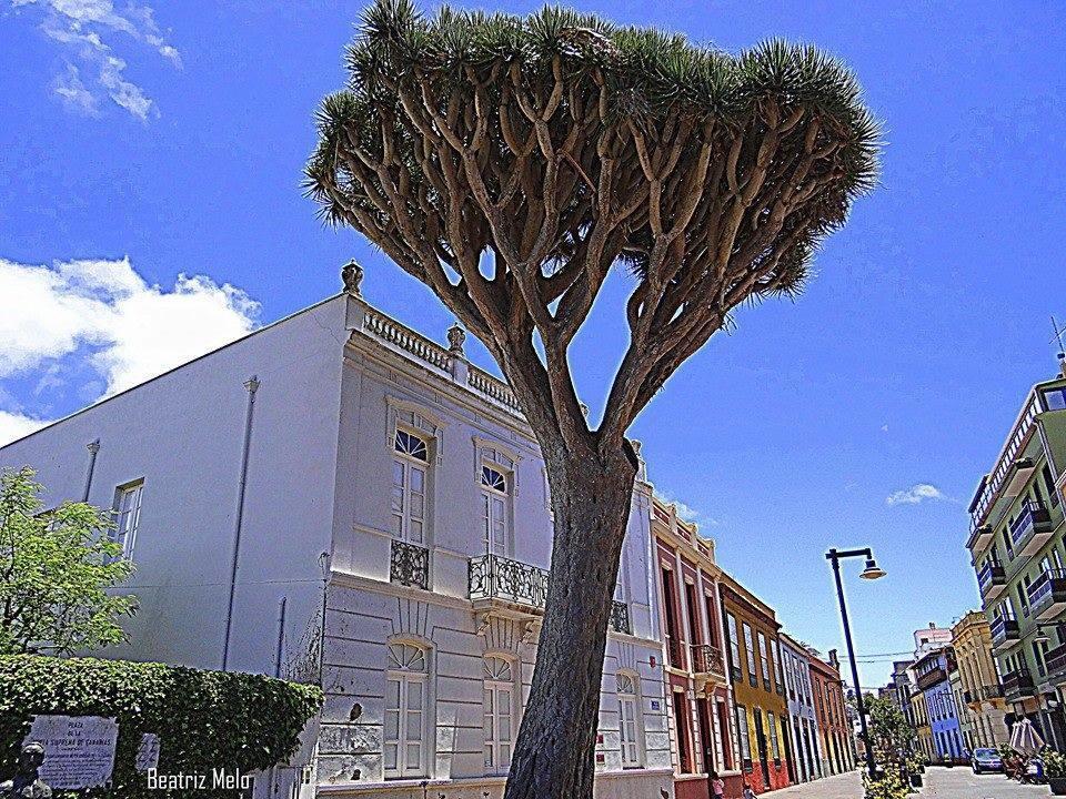 Apartamento Maya La Laguna  Exteriör bild